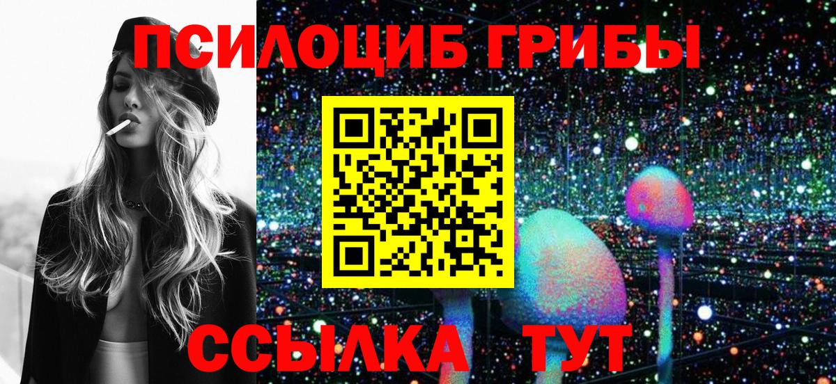 Галлюциногенные грибы Magic Shrooms Котлас