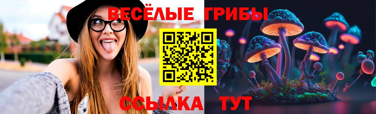 Котлас  Псилоцибиновые грибы GOLDEN TEACHER  Вход с VPN  Галлюциногенные грибы Magic Shrooms 